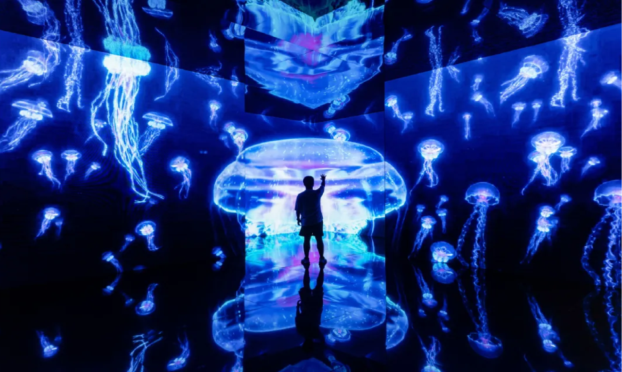 1738237334840011573.png 2e66f611a0a12136931dd36c68ecb2a9.png